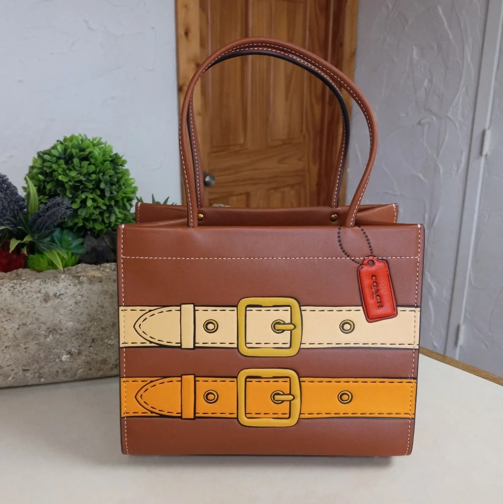 Cashin Carry Bag 22 With Trompe L'oeil Print, Saddle Multi 2022 Runway